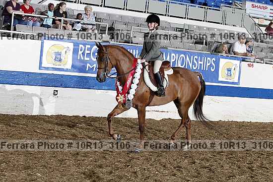 Proof 10r13_3106