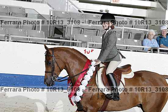 Proof 10r13_3108