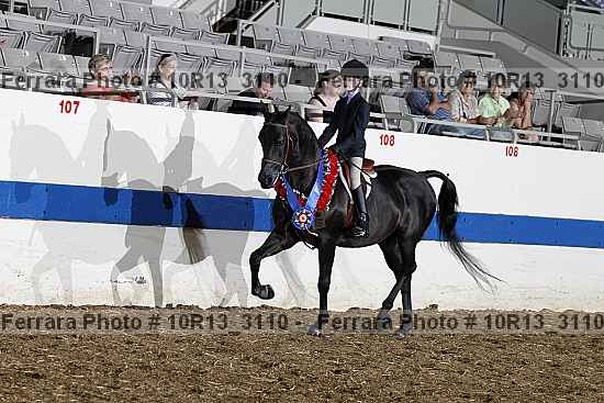 Proof 10r13_3110