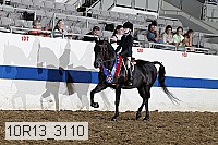 10r13_3110 proof