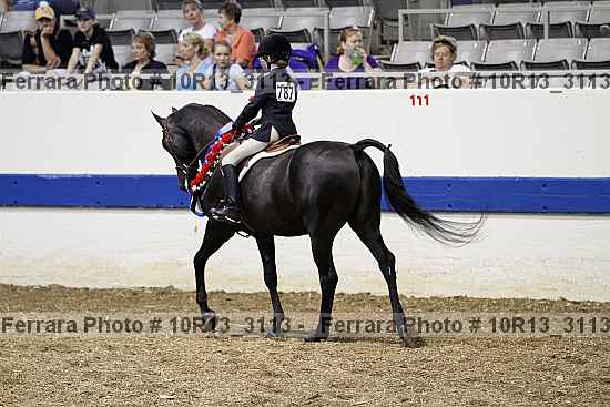 Proof 10r13_3113