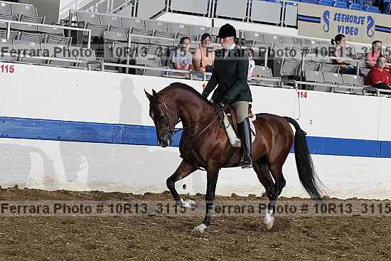 Proof 10r13_3115