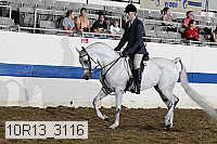 10r13_3116 proof