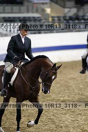 Proof 10r13_3118