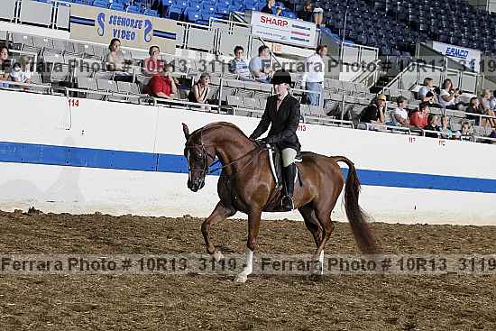 Proof 10r13_3119
