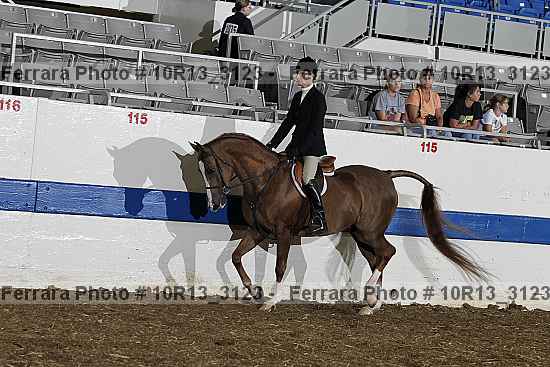 Proof 10r13_3123