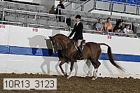 10r13_3123 proof