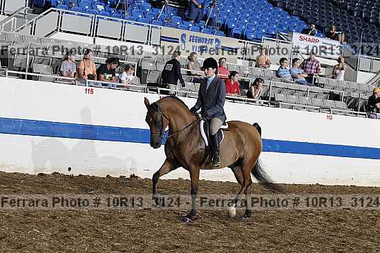 Proof 10r13_3124
