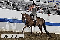 10r13_3132 proof