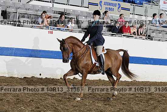 Proof 10r13_3136