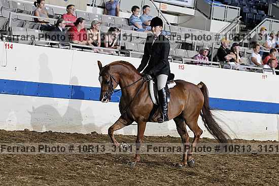 Proof 10r13_3151