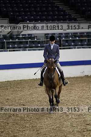 Proof 10r13_3153