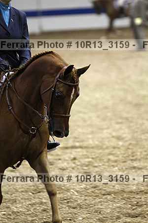 Proof 10r13_3159
