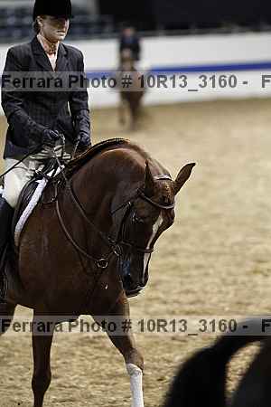 Proof 10r13_3160