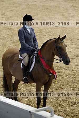 Proof 10r13_3168