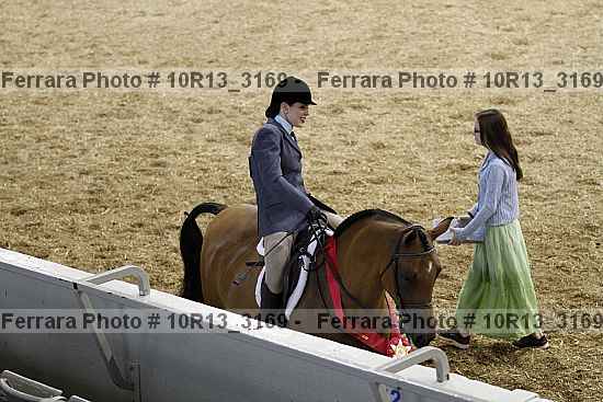 Proof 10r13_3169