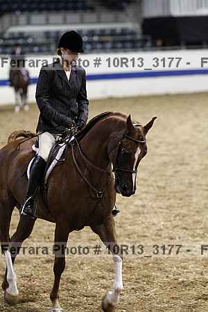 Proof 10r13_3177