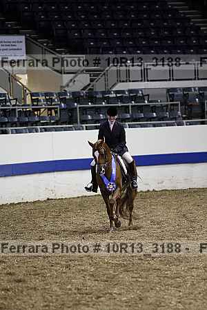 Proof 10r13_3188