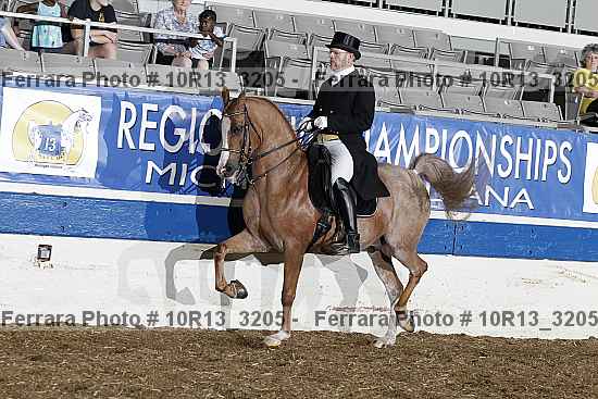 Proof 10r13_3205