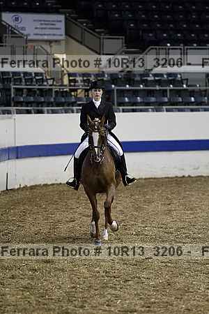 Proof 10r13_3206