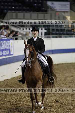 Proof 10r13_3207
