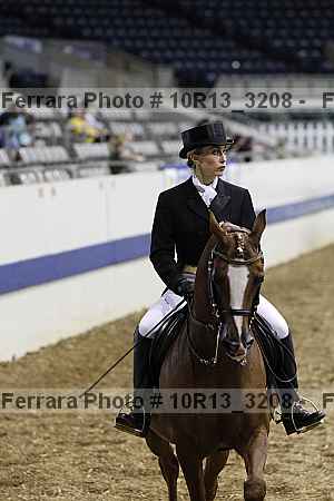 Proof 10r13_3208
