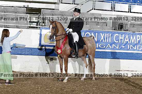 Proof 10r13_3209