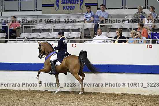 Proof 10r13_3228
