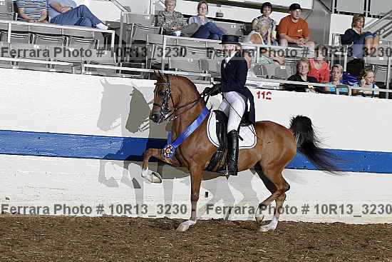 Proof 10r13_3230