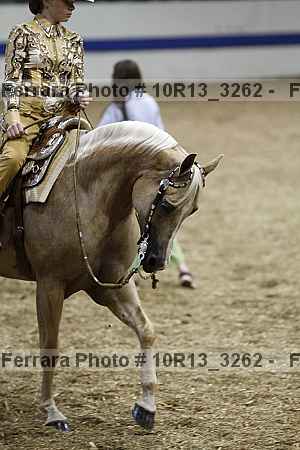 Proof 10r13_3262