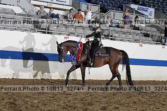 Proof 10r13_3274