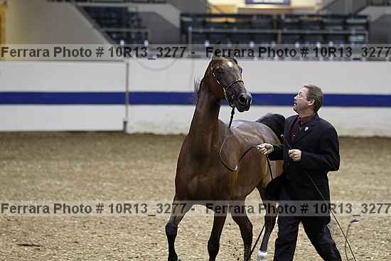 Proof 10r13_3277