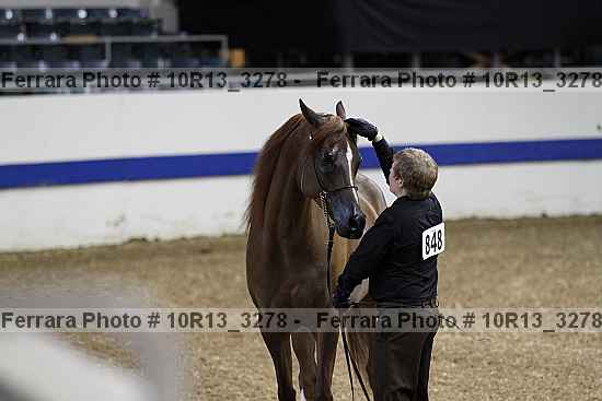 Proof 10r13_3278