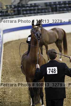Proof 10r13_3279