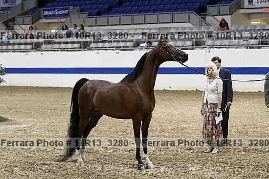 Proof 10r13_3280