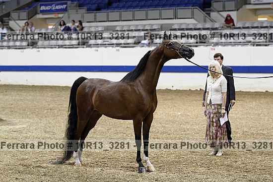 Proof 10r13_3281
