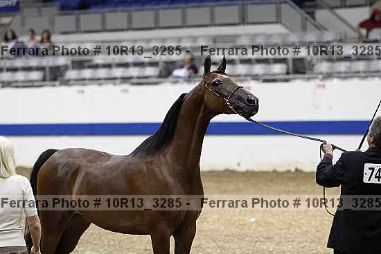 Proof 10r13_3285
