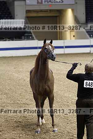 Proof 10r13_3287