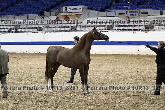 Proof 10r13_3291