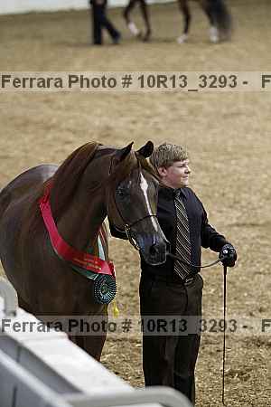 Proof 10r13_3293