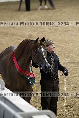 Proof 10r13_3294