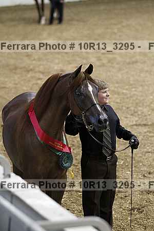 Proof 10r13_3295