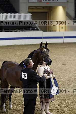Proof 10r13_3301