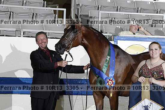 Proof 10r13_3305