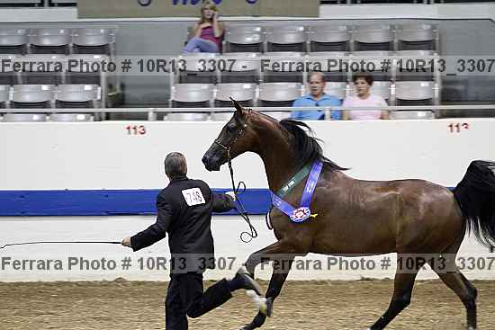 Proof 10r13_3307