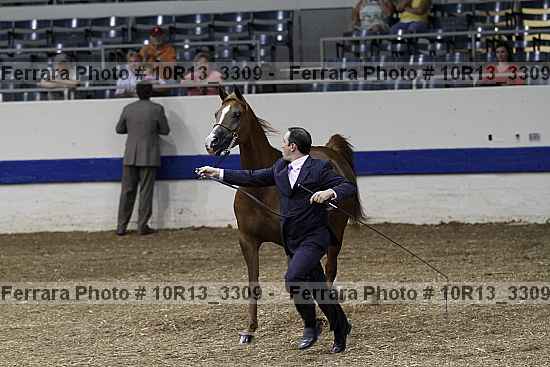 Proof 10r13_3309