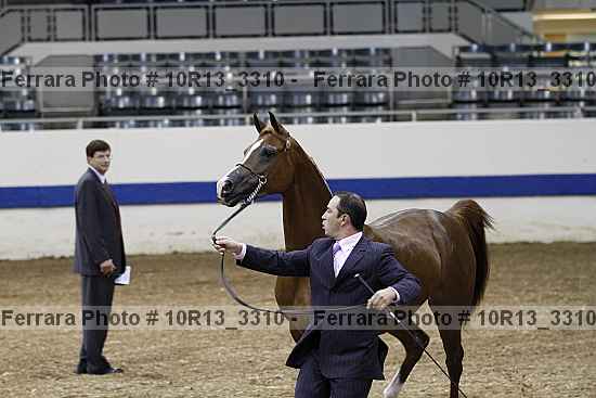 Proof 10r13_3310