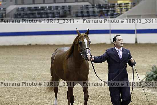 Proof 10r13_3311
