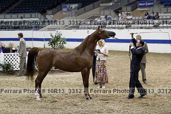 Proof 10r13_3312