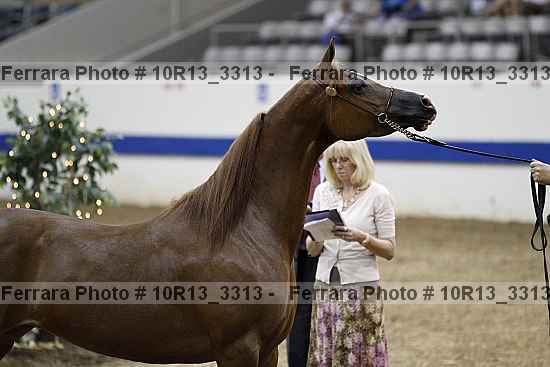 Proof 10r13_3313